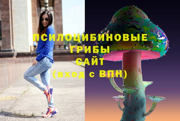 амф Абинск