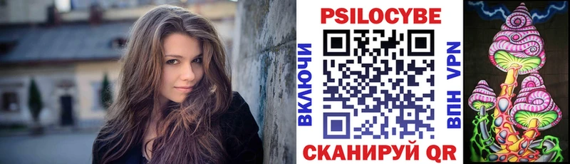 сколько стоит  Кочубеевское  Галлюциногенные грибы Psilocybe 